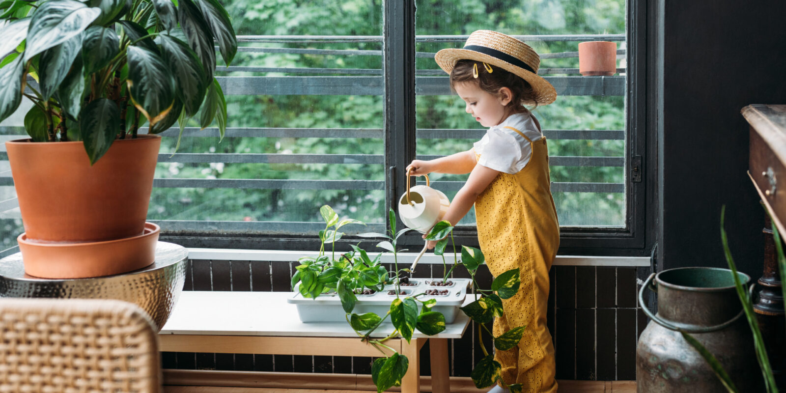Zimmerpflanzen Ungiftige Pflanzen fürs Kinderzimmer sind eine gute Idee