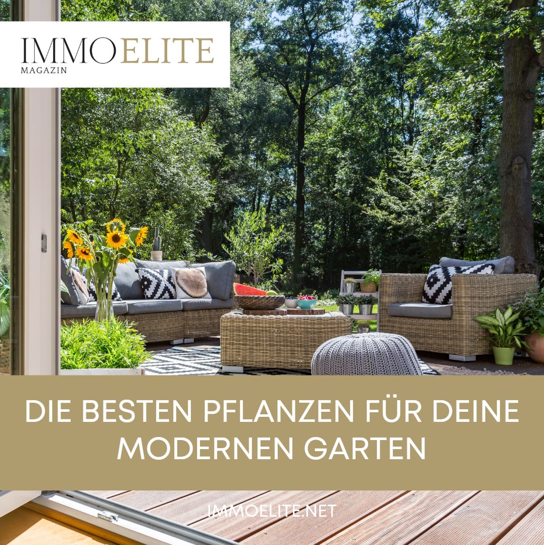 Die besten Pflanzen für deine modernen Garten