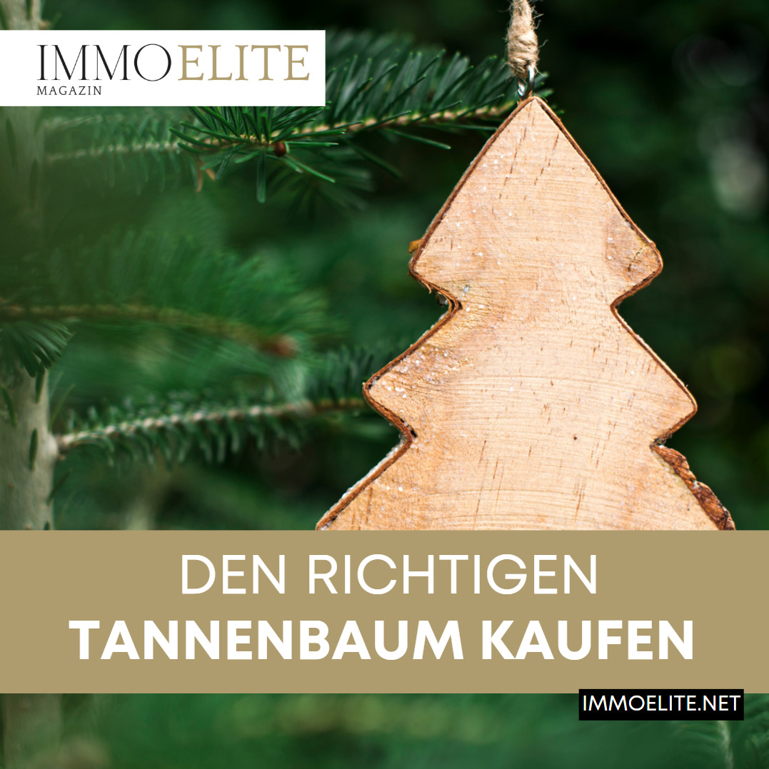 tannenbaum