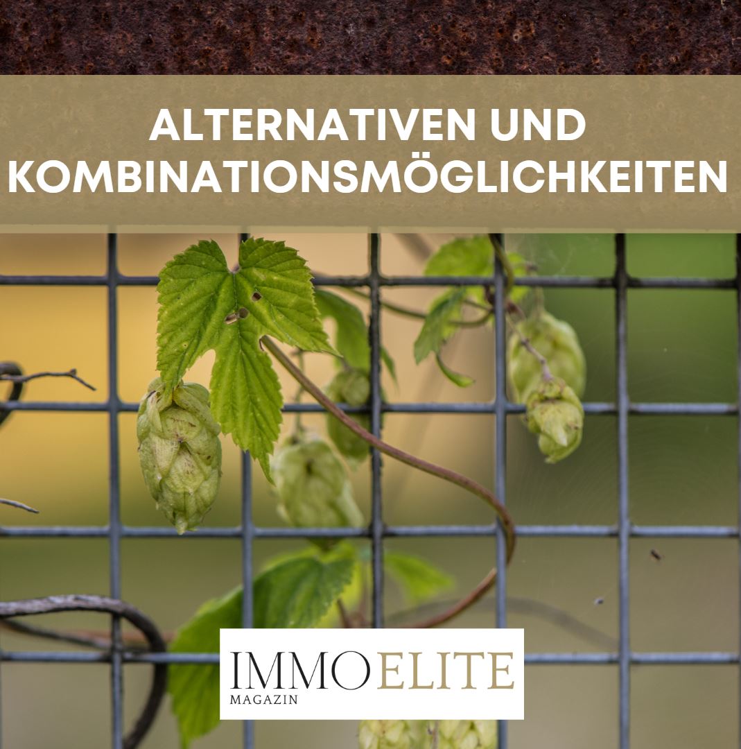 Alternativen und Kombinationsmöglichkeiten