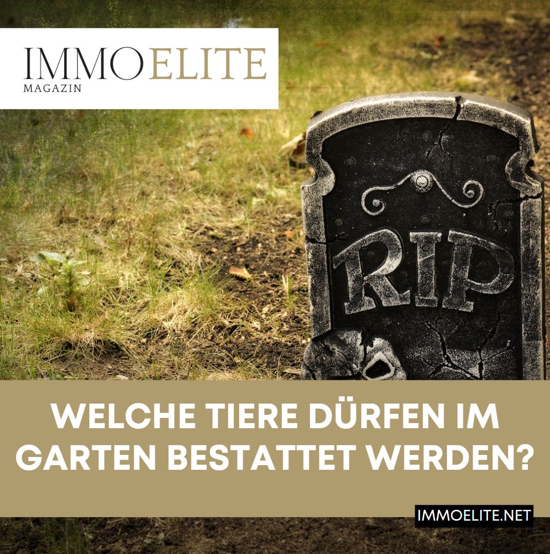 Welche Tiere dürfen im Garten bestattet werden