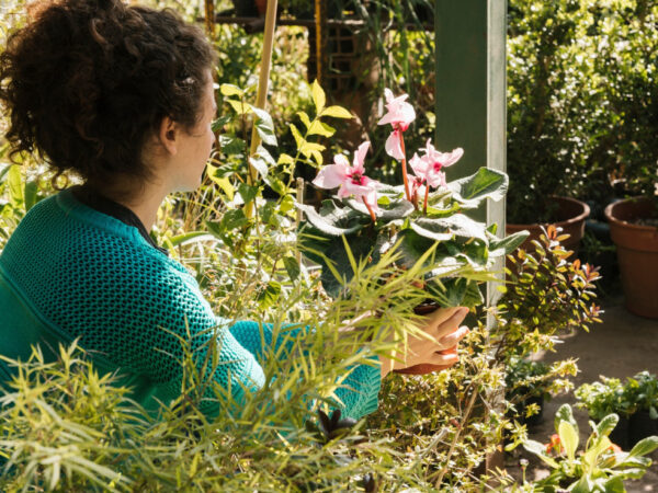 pflegeleichten Garten