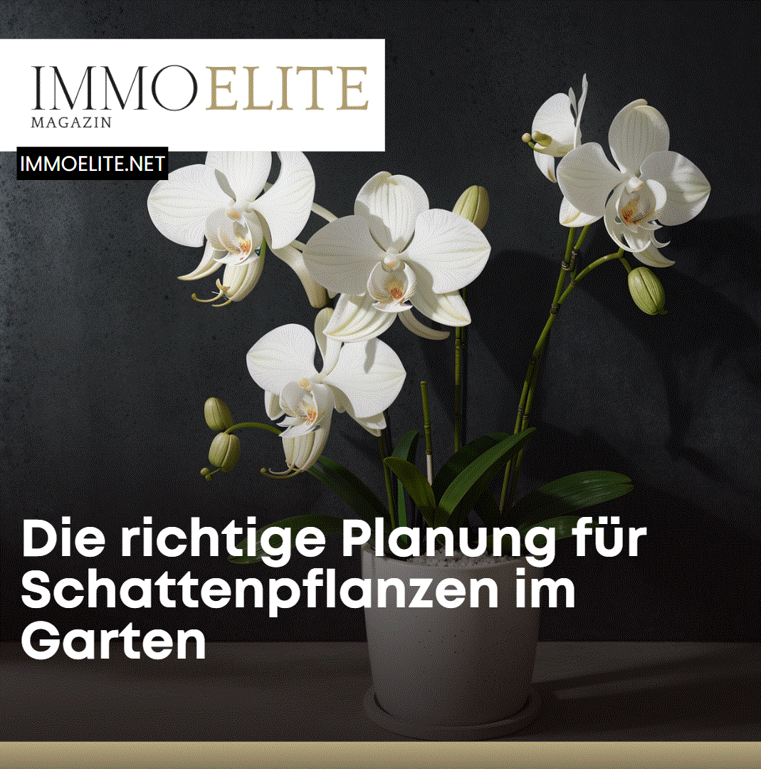 Die richtige Planung für Schattenpflanzen im Garten