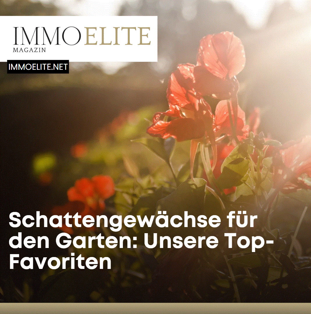 Schattengewächse für den Garten Unsere Top-Favoriten