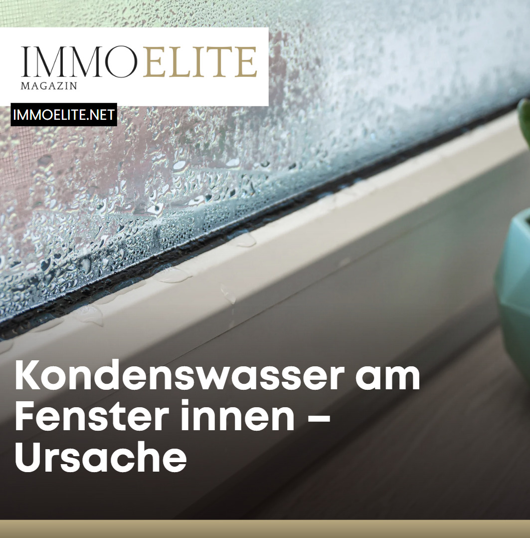 Kondenswasser am Fenster innen – Ursache ein täglicher Kampf