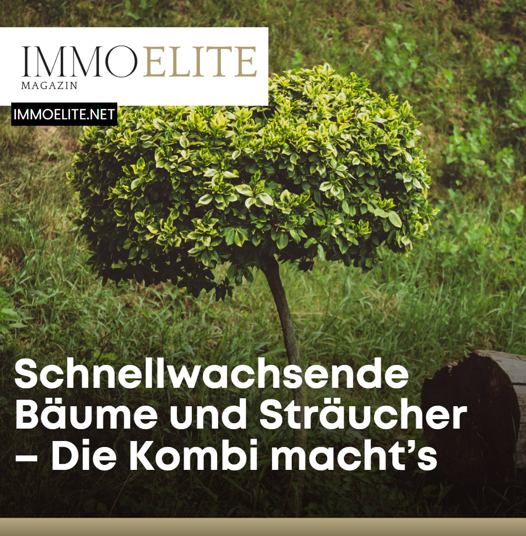 Schnellwachsende Bäume und Sträucher – Die Kombi macht’s