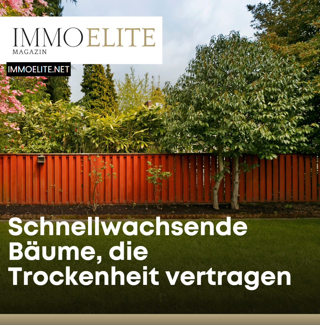 Schnellwachsende Bäume, die Trockenheit vertragen
