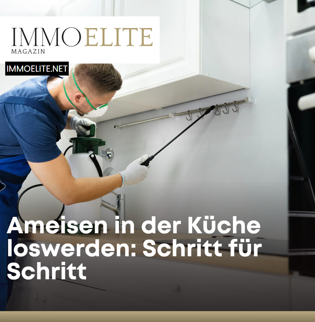 Ameisen in der Küche loswerden Schritt für Schritt