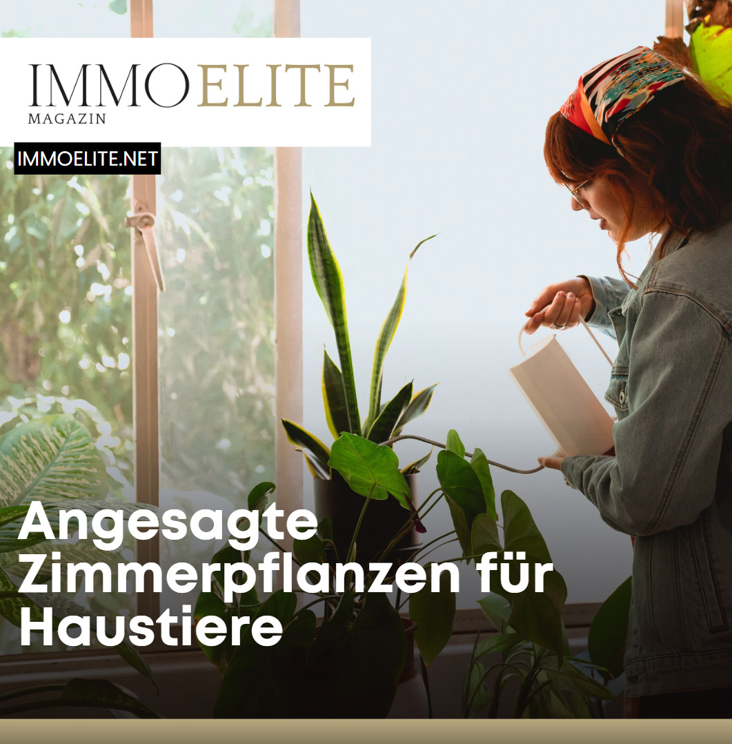 Angesagte Zimmerpflanzen für Haustiere