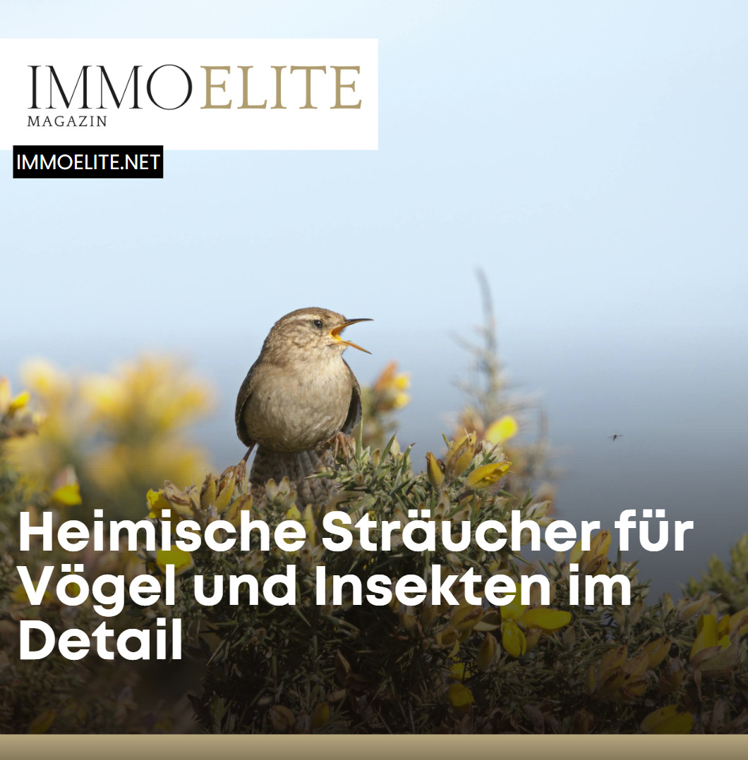 Heimische Sträucher für Vögel und Insekten im Detail