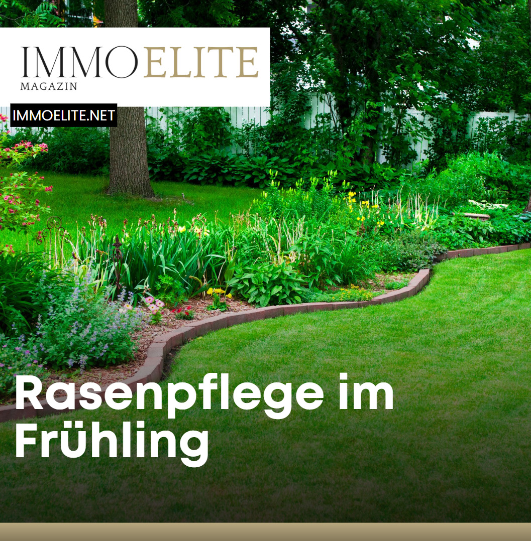 Rasenpflege im Frühling