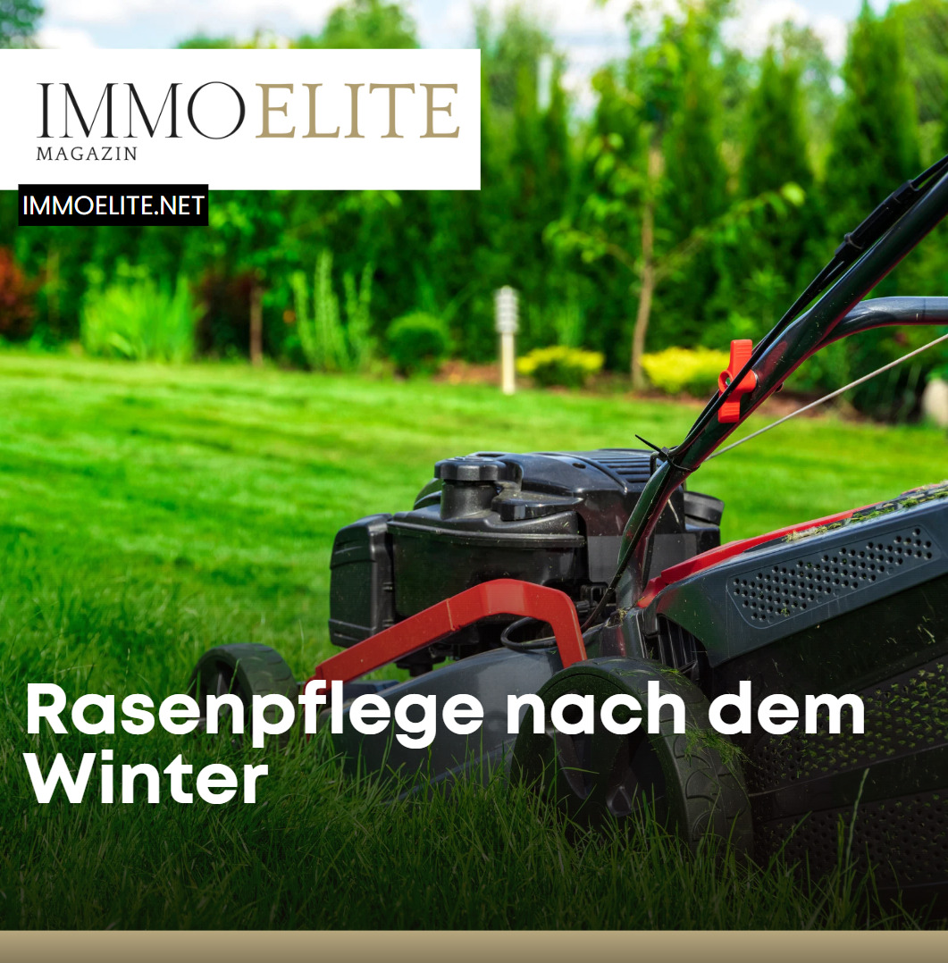 Rasenpflege nach dem Winter