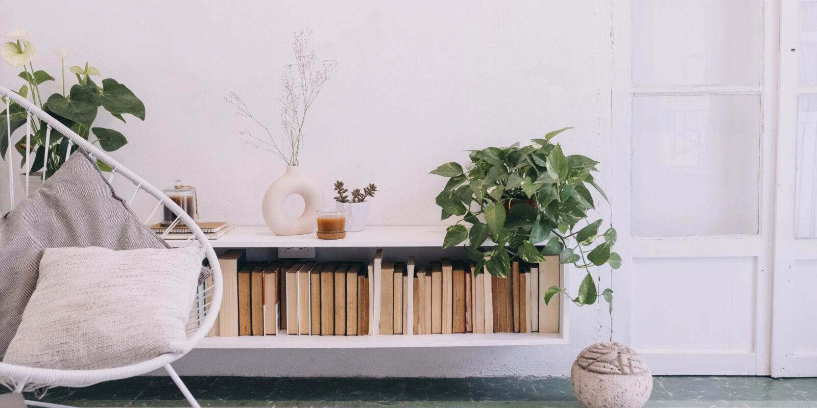 Ungiftige Pflanzen für Hunde Sicheres Grün für dein Zuhause und den Garten