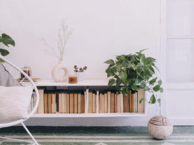 Ungiftige Pflanzen für Hunde Sicheres Grün für dein Zuhause und den Garten