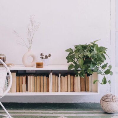 Ungiftige Pflanzen für Hunde Sicheres Grün für dein Zuhause und den Garten