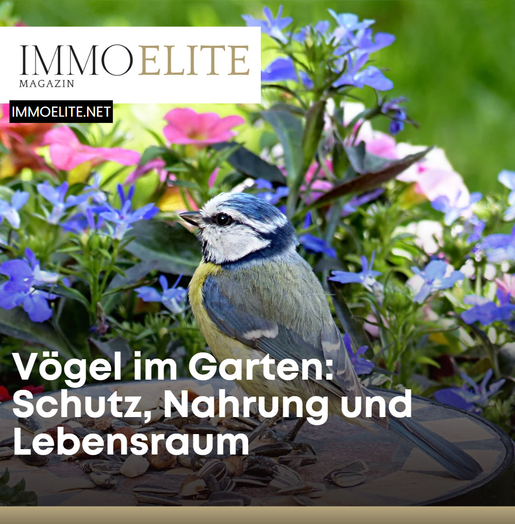 Vögel im Garten Schutz, Nahrung und Lebensraum