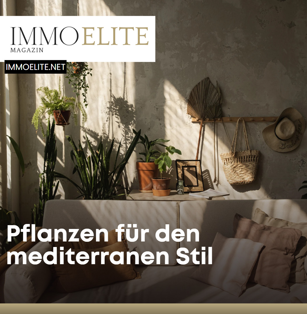 Pflanzen für den mediterranen Stil