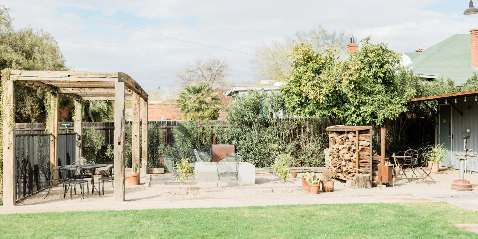 Walnussbaum im Garten verboten Wieso das Anbauen problematisch ist