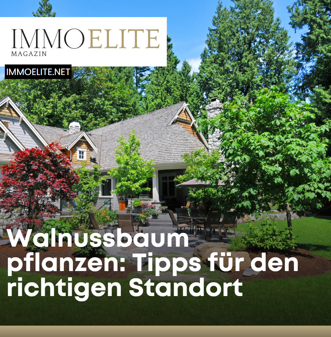 Walnussbaum pflanzen Tipps für den richtigen Standort