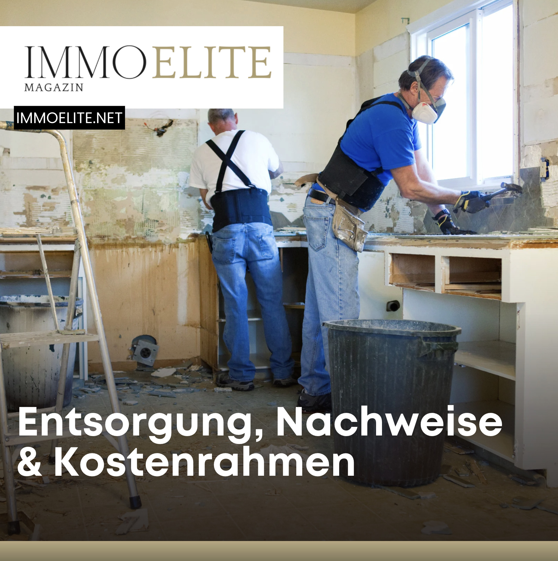Entsorgung, Nachweise & Kostenrahmen Schadstoffe, Asbest