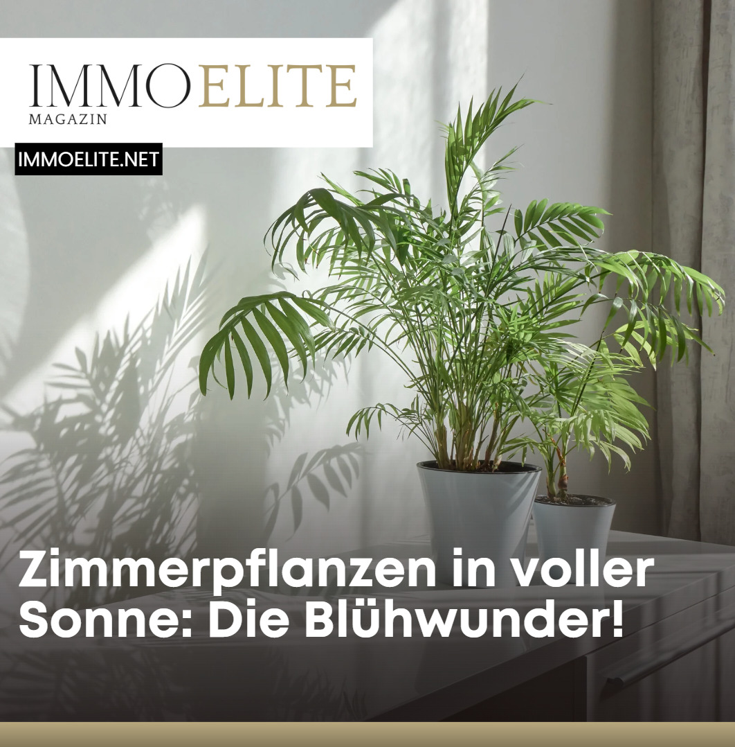 Blhende Zimmerpflanzen die viel Sonne vertragen