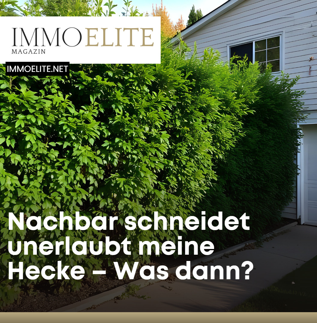 Muss mein Nachbar seine Hecke auf meiner Seite schneiden?