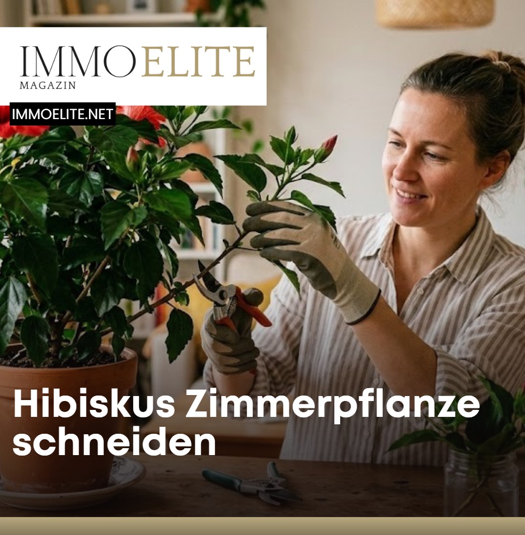 zimmerpflanzen wandhalterung Pflanzen Wandhalterung – Hot Plants main image 1